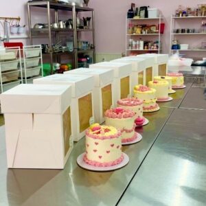 JGA Bento Cakes